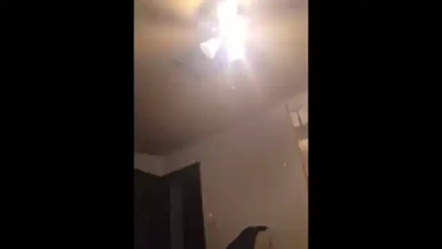 Clevername90 online show from November 2025 11:05:01 PM