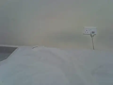 berrynova online show from May 2026 04:57:02 PM