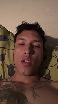 Snapshot of Dan_harmor chatting on June 2026 11:49:02 AM Dan harmor online show from June 2026 11:49:02 AM