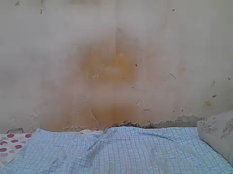 sweet camillah00 online show from July 2026 01:35:02 PM