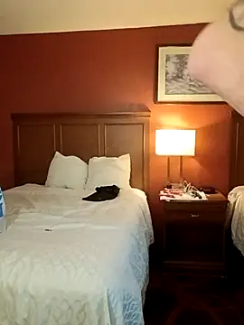 Wild dude online show from March 2026 03:06:01 AM