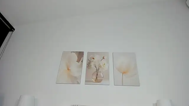 burning diamond   online show from July 2026 11:08:02 PM