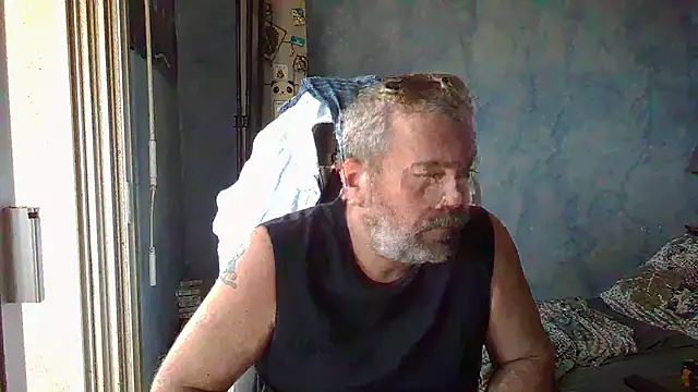 panda 06200 online show from May 2026 11:49:02 AM
