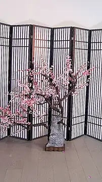 Snapshot of ouyanyan chatting on May 2026 12:14:02 PM ouyanyan online show from May 2026 12:14:02 PM