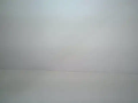 wendy shancy online show from May 2026 02:13:02 PM