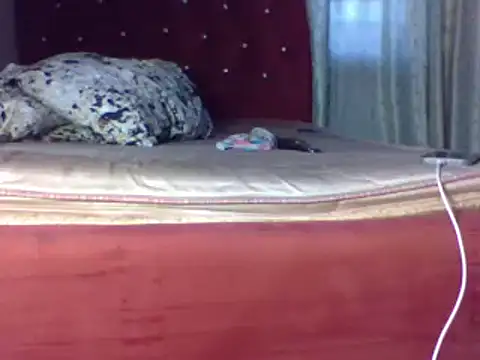 biggest black cock online show from June 2026 02:22:02 PM