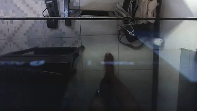AshleySofiaThenison online show from May 2026 03:34:01 AM