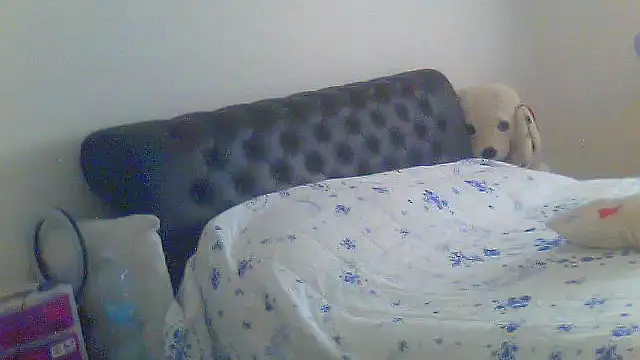 Alaska-perla online show from June 2026 09:15:02 AM