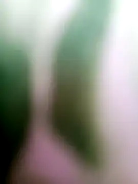 Cut means47 online show from July 2026 01:54:02 AM