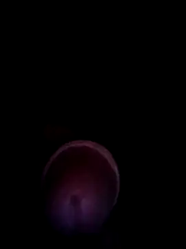 Snapshot of blanquito_leche chatting on July 2026 04:44:02 AM blanquito leche online show from July 2026 04:44:02 AM