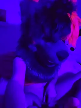 RadPawz furry online show from June 2026 09:15:01 PM