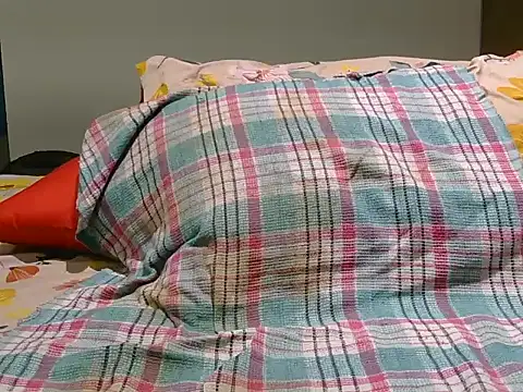 indiboy009 online show from April 2026 06:47:01 PM