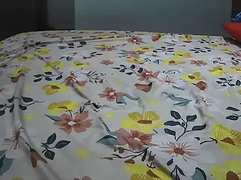 indiboy009 online show from March 2026 06:28:02 PM