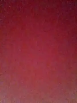 pricilanunes online show from July 2026 11:39:01 AM