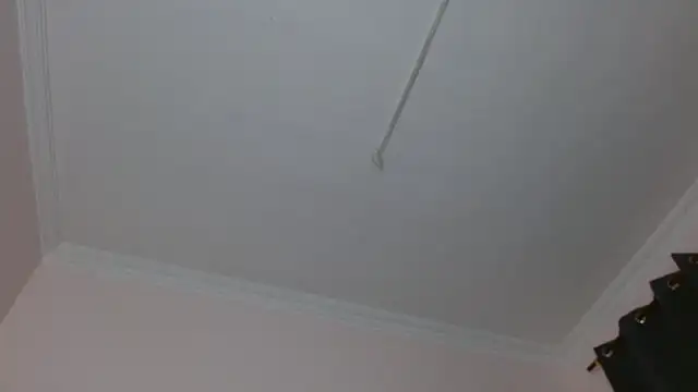 Snapshot of amara_sanchez chatting on July 2026 01:01:02 PM amara sanchez online show from July 2026 01:01:02 PM