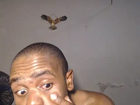 Frank X Husle online show from July 2026 08:27:01 PM