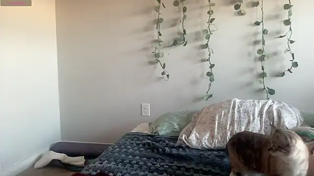 maddiliz online show from November 2025 09:48:01 PM