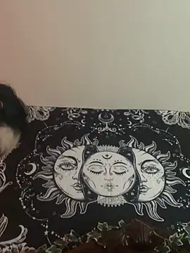 Snapshot of smoothkissx chatting on January 2025 12:02:02 PM smoothkissx online show from January 2025 12:02:02 PM