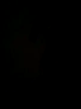 hook9sex online show from June 2026 04:53:02 AM