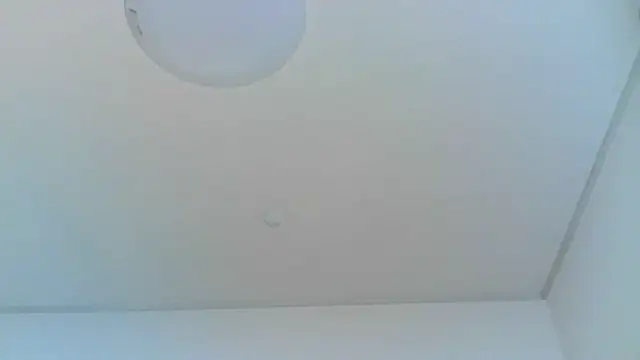 Snapshot of yoci0101 chatting on June 2026 04:39:01 PM yoci0101 online show from June 2026 04:39:01 PM