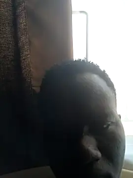 Snapshot of Darkfaruk chatting on June 2026 11:16:01 AM Darkfaruk online show from June 2026 11:16:01 AM