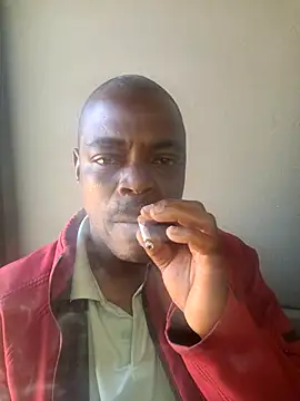 Rod Gorilla online show from July 2026 08:10:01 AM
