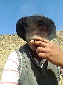 Rod Gorilla online show from August 2026 08:23:01 AM