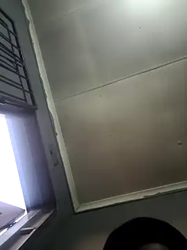 Rod Gorilla online show from July 2026 03:52:01 PM