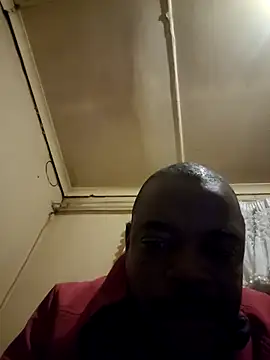 Rod Gorilla online show from July 2026 06:03:01 PM