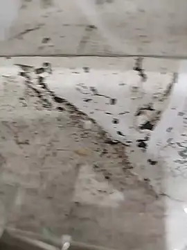 Snapshot of Prince_Aamit chatting on July 2026 08:33:01 AM Prince Aamit online show from July 2026 08:33:01 AM