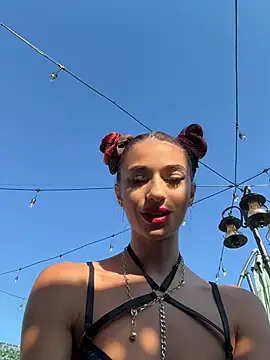 Snapshot of VixenRosse chatting on July 2026 05:25:02 AM VixenRosse online show from July 2026 05:25:02 AM