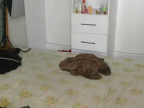 SexyLi  online show from July 2026 02:21:02 AM