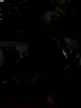 Checkyourdm online show from June 2026 06:07:02 AM