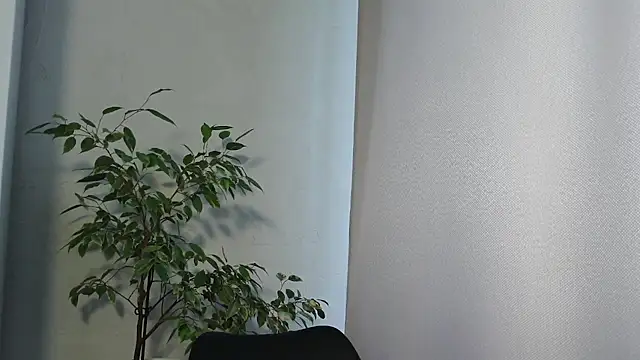 Snapshot of MariaTravel chatting on July 2026 02:35:01 PM MariaTravel online show from July 2026 02:35:01 PM