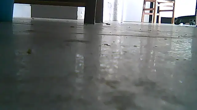 SirFrankonde online show from August 2026 12:47:01 PM