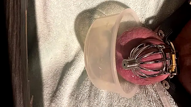Chastitysissy07 online show from June 2026 12:21:01 PM