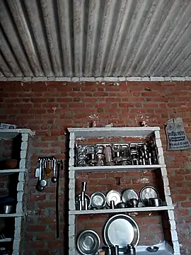 Hot shiri online show from July 2026 06:43:01 AM