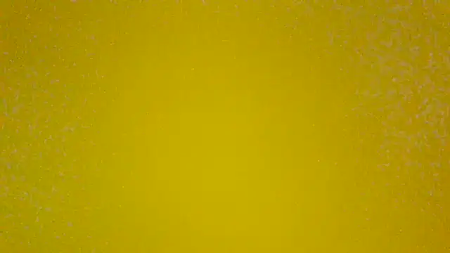 PinguinaTraviesa online show from June 2026 04:02:02 PM