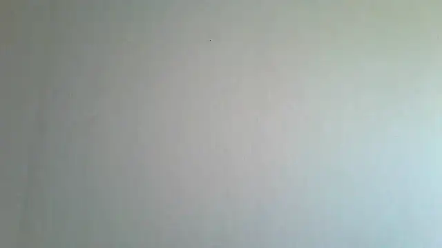 Snapshot of Nimetta chatting on July 2026 03:17:02 AM Nimetta online show from July 2026 03:17:02 AM