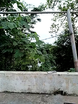 sena-cute online show from June 2026 11:57:02 PM