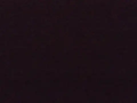 EllieTan online show from August 2026 05:34:01 AM