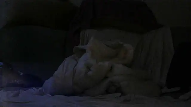 GariQNight online show from March 2026 05:57:02 PM