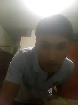 bxbicho20 online show from June 2026 02:28:01 AM