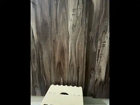 SatBull007 online show from November 2025 07:51:02 AM