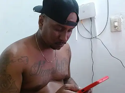 negro-7 online show from July 2026 03:35:02 AM