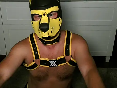 Snapshot of WildyLynx chatting on July 2026 11:38:02 PM WildyLynx online show from July 2026 11:38:02 PM