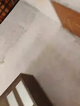 Nando Gato Active online show from July 2026 03:13:01 PM
