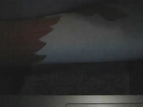 Snapshot of butterflywngs chatting on July 2026 06:52:02 PM butterflywngs online show from July 2026 06:52:02 PM