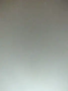 bitch77  online show from July 2026 04:35:01 AM
