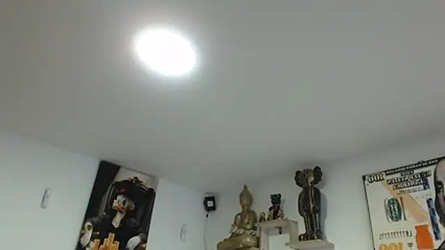 Novaluxee online show from July 2026 11:17:02 PM